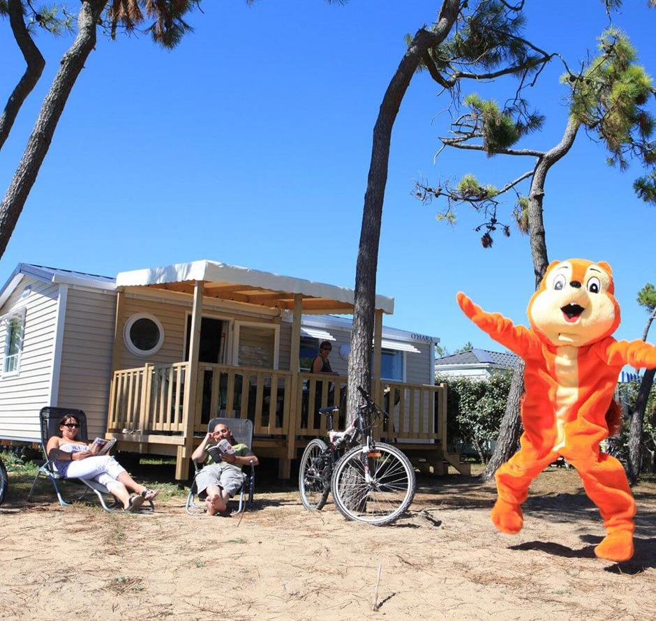 Promo campsite Vendée at La Pomme de Pin - Camping pomme de pin