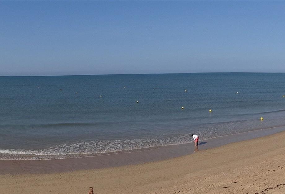 4 stars campsite- st hilaire de riez- close to the beach - Camping pomme de pin