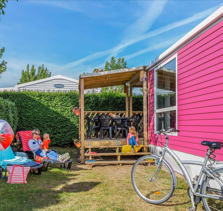 Camping pomme de pin