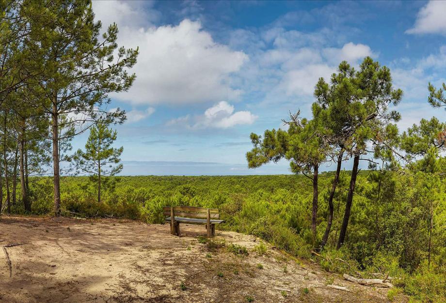 te ontdekken rond st hilaire de riez - Camping pomme de pin