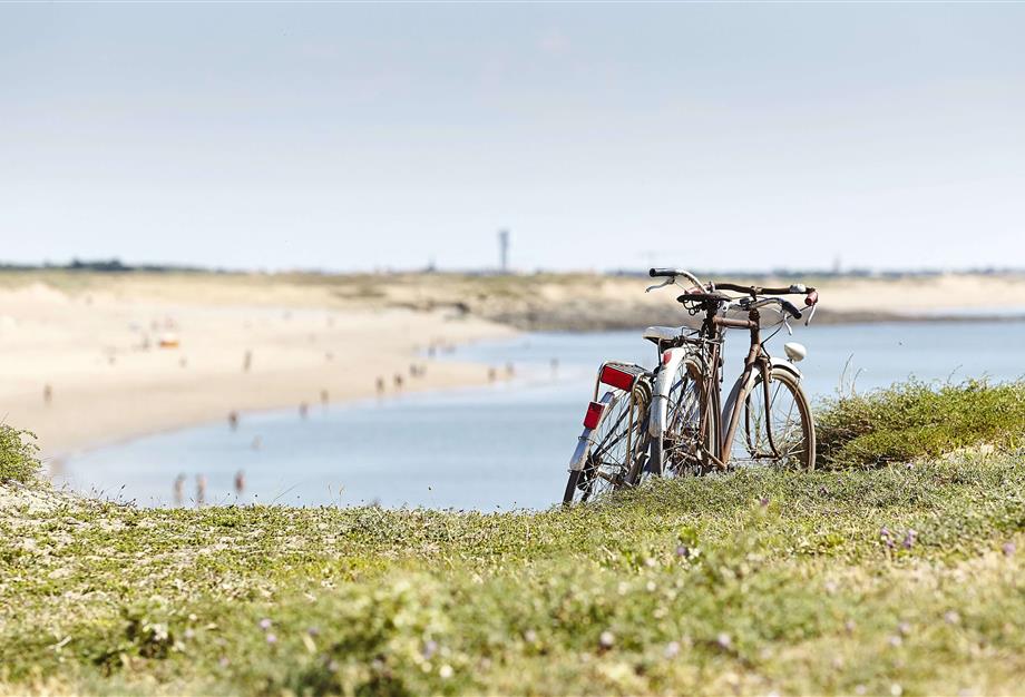 ontdek de Vendée op de fiets - Camping pomme de pin