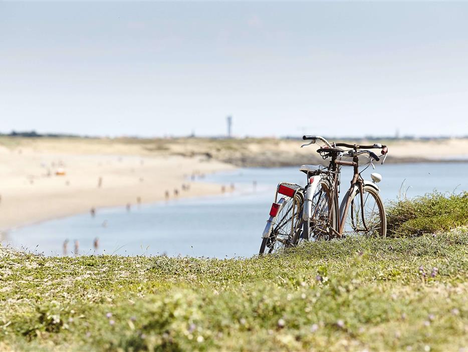 ontdek de Vendée op de fiets - Camping pomme de pin