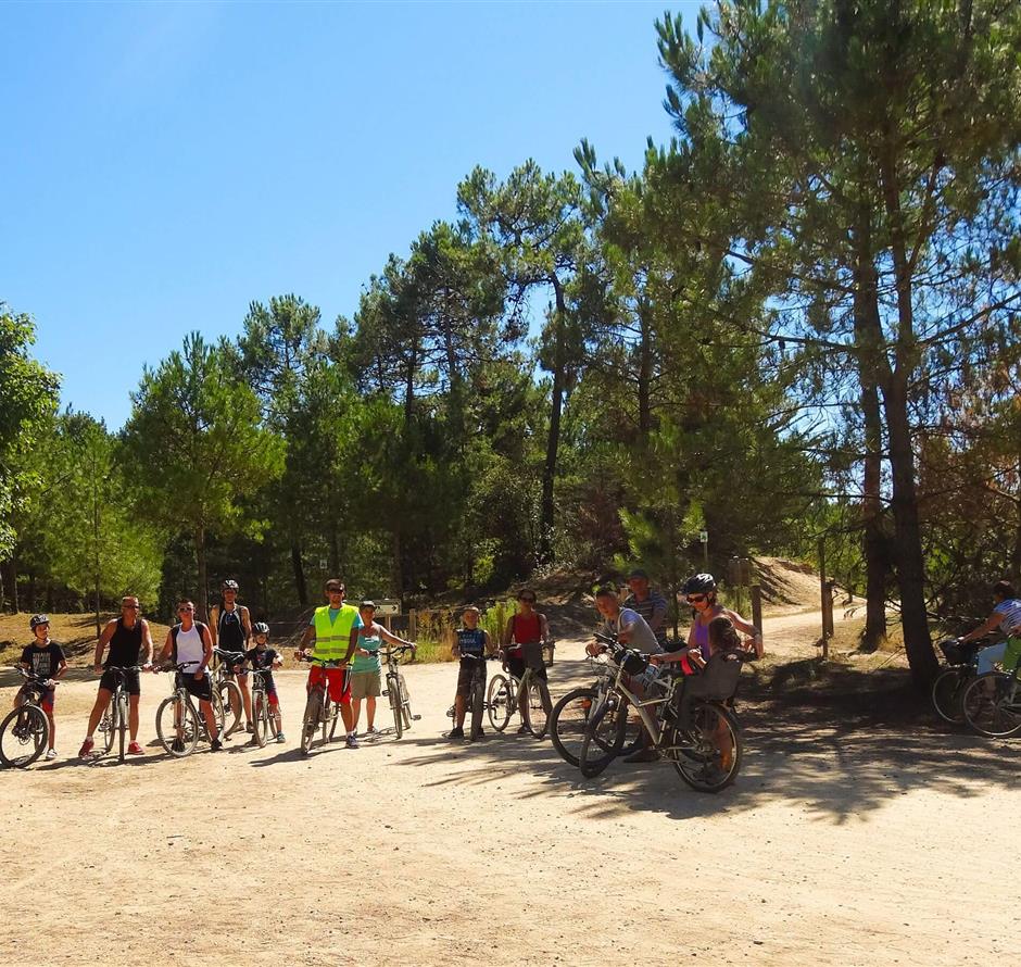 sportuitjes - Camping pomme de pin