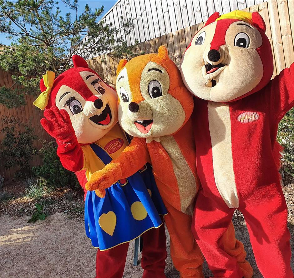 de mascottes - Camping pomme de pin