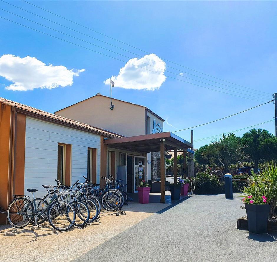 Camping pomme de pin
