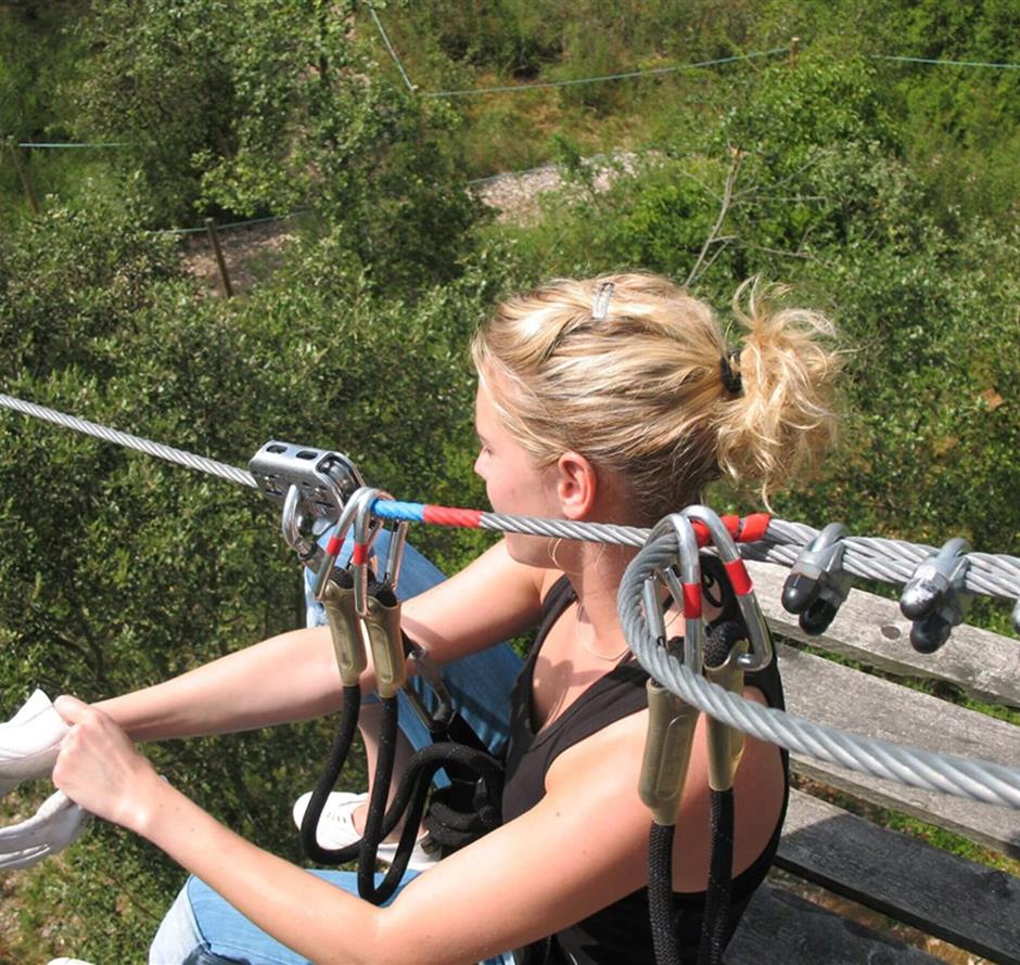 boomklimmen nabij st hilaire de riez - Camping pomme de pin