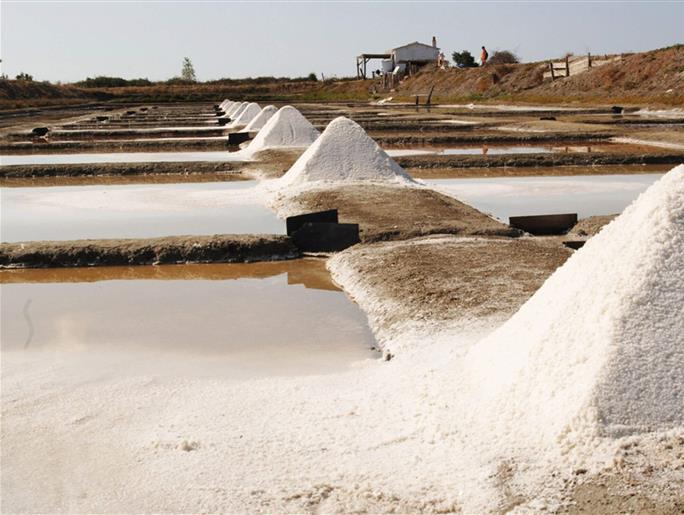 Salt marshes close to La Pomme de Pin