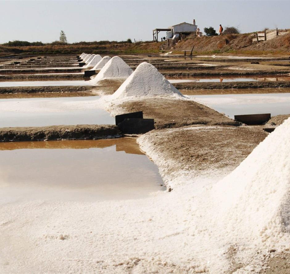 Salt marshes close to La Pomme de Pin - Camping pomme de pin