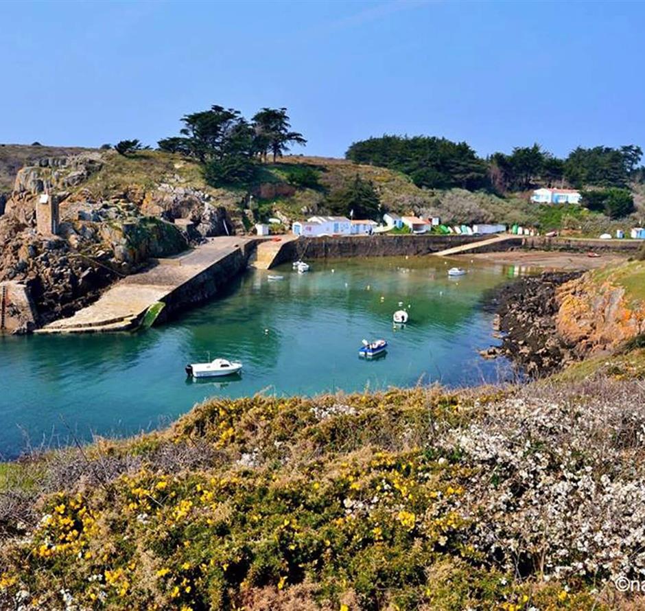 Visit to île d'Yeu close to campsite La Pomme de Pin at St Hilaire de Riez - Camping pomme de pin