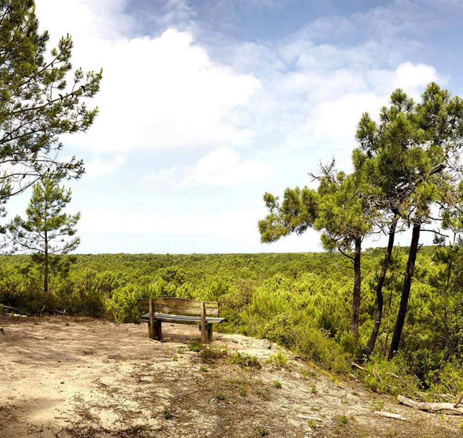 Seaside resort of St Jean de Monts close to the campsite la pomme de pin - Camping pomme de pin