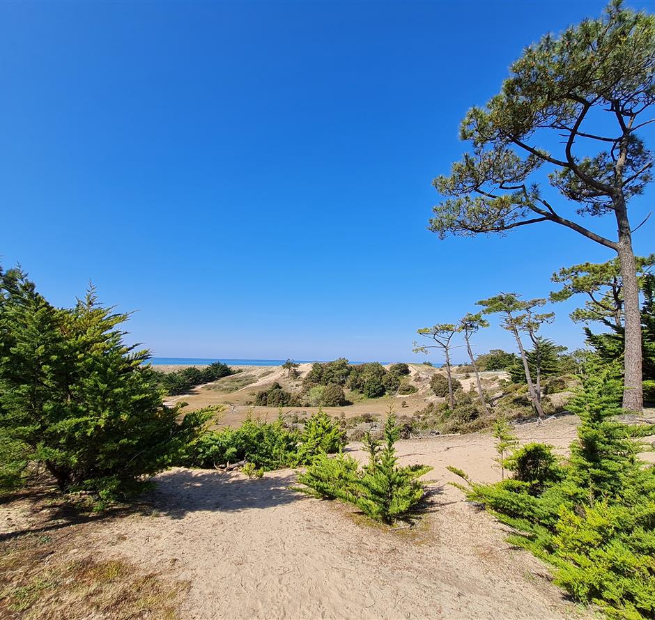 camping met directe toegang tot het strand van st hilaire - Camping pomme de pin