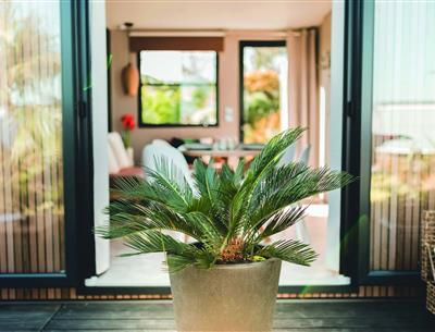 cottage patio en spa 6 pers 3 slaapkamers 1 badkamer