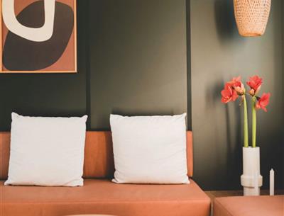 cottage patio en spa 6 pers 3 slaapkamers 1 badkamer