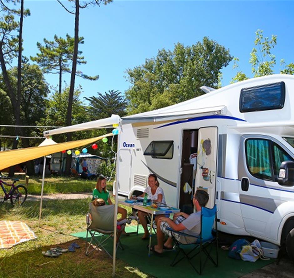 Camping pomme de pin