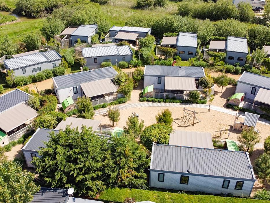 Camping pomme de pin