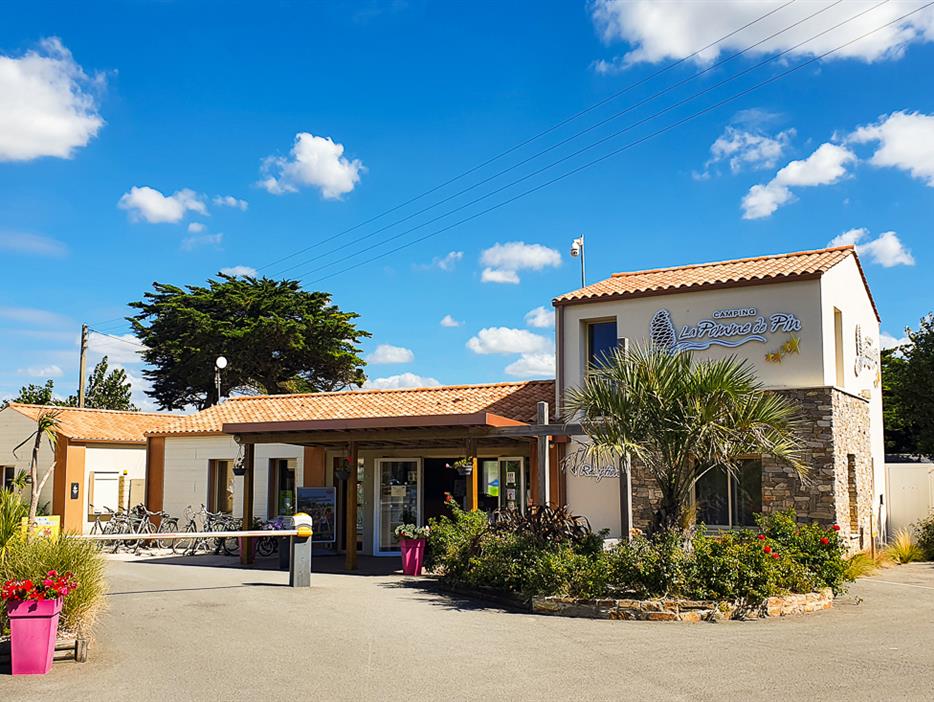 Camping pomme de pin