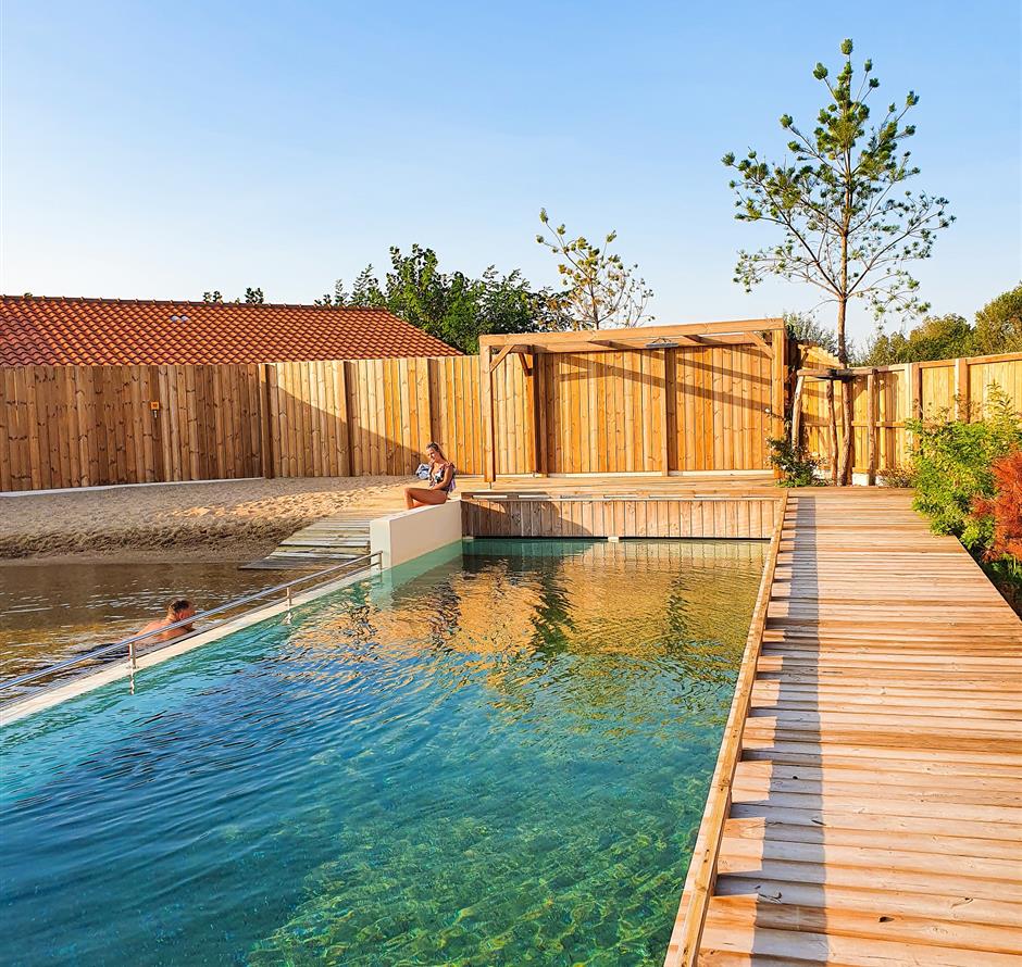 Camping pomme de pin