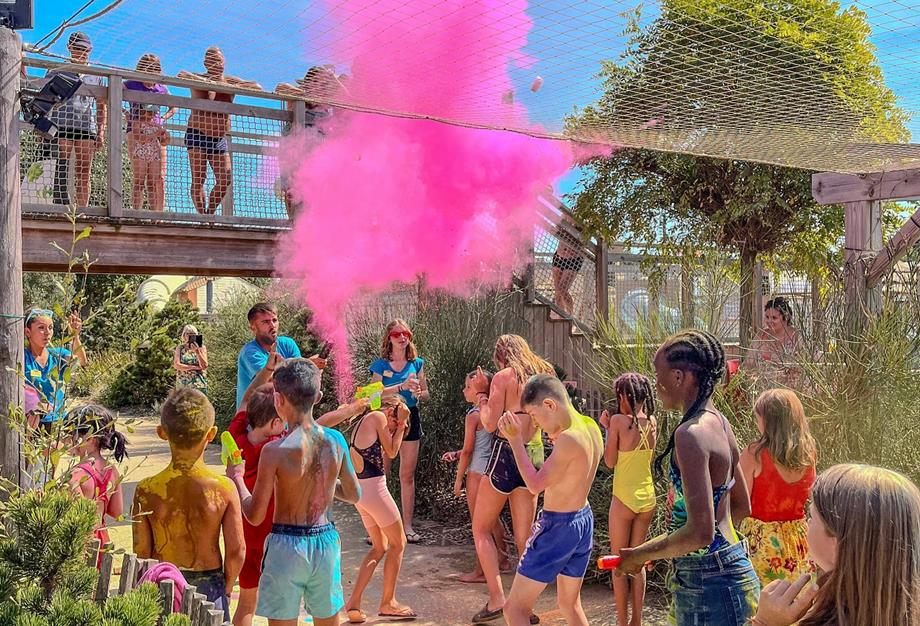 Camping pomme de pin